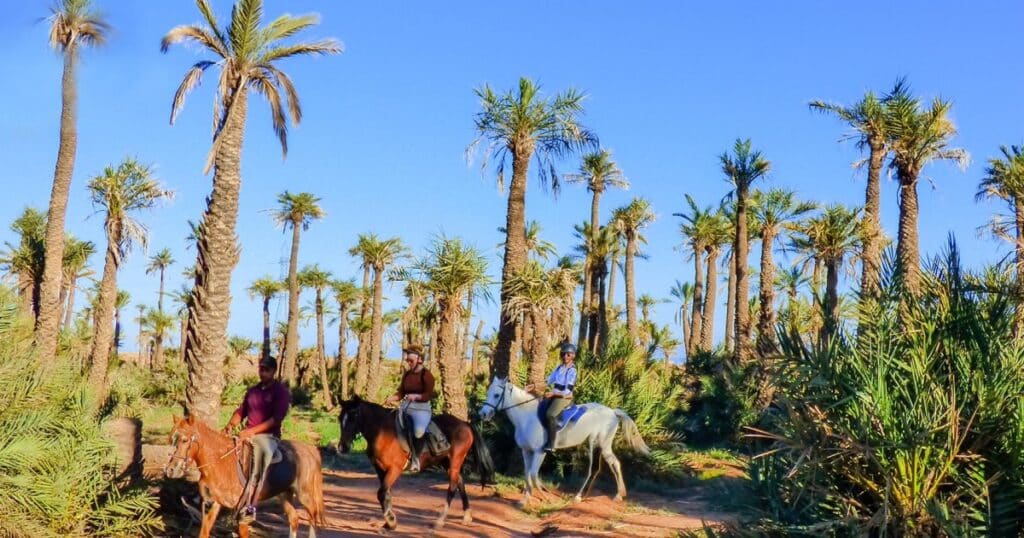 2h Balade de Cheval + photos  à la Palmeraie