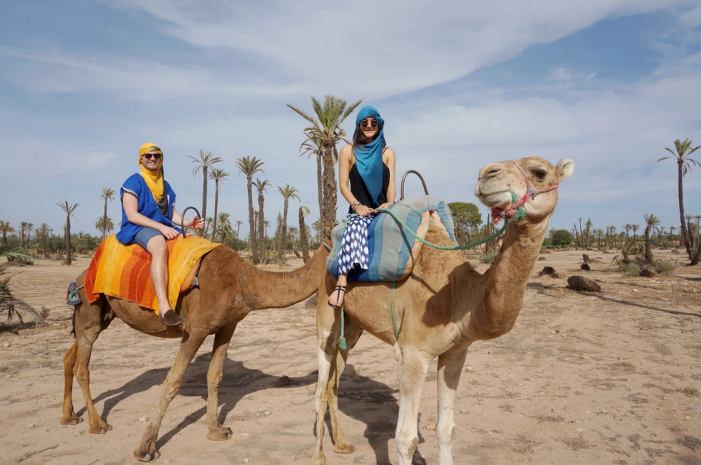 2h Balade Chameau + pause thé et photo à la Palmeraie de Marrakech